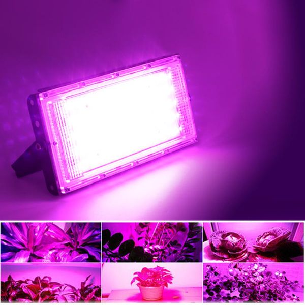 led flood light ac220v plant growth lamp full spectrum grow greenhouse hydroponics floodlight spotlight floodlights
led flood light ac220v plant growth lamp full spectrum grow greenhouse hydroponics floodlight spotlight floodlights