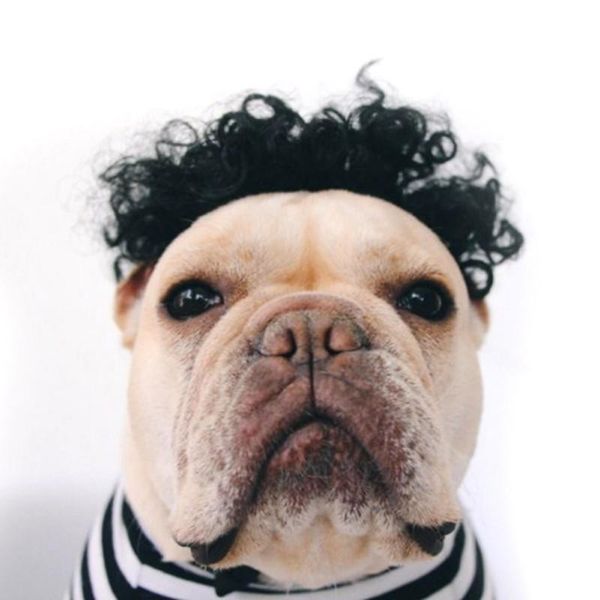 dog apparel funny wig colorful soft synthetic hair dogs cute cap for cosplay halloween costume fancy dress lovely gift pet cat
dog apparel funny wig colorful soft synthetic hair dogs cute cap for cosplay halloween costume fancy dress lovely gift pet cat