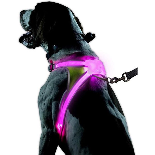 dog collars & leashes harness led collar revolutionary illuminated and reflective
dog collars & leashes harness led collar revolutionary illuminated and reflective
