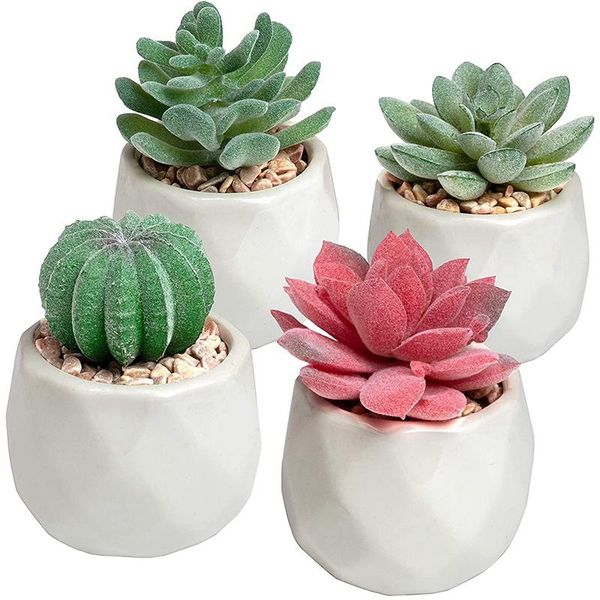mini succulents artificial plants geometric ceramic in pot,set of 4 decorative flowers & wreaths
mini succulents artificial plants geometric ceramic in pot,set of 4 decorative flowers & wreaths