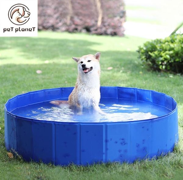 kennels & pens dog swimming pool foldable pet bath tub bathtub collapsible bathing for dogs cats kids drop
kennels & pens dog swimming pool foldable pet bath tub bathtub collapsible bathing for dogs cats kids drop