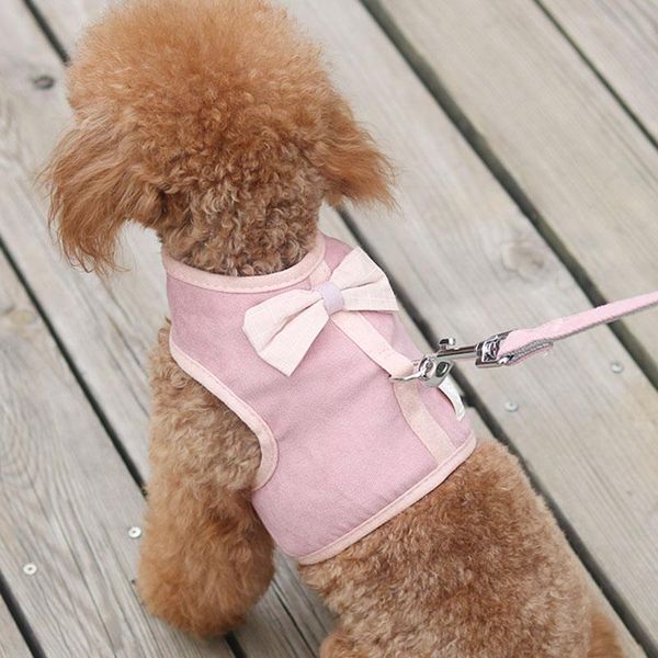 dog collars & leashes teddy traction rope small medium-sized walking chest strap chain bomei pet supplies leash
dog collars & leashes teddy traction rope small medium-sized walking chest strap chain bomei pet supplies leash