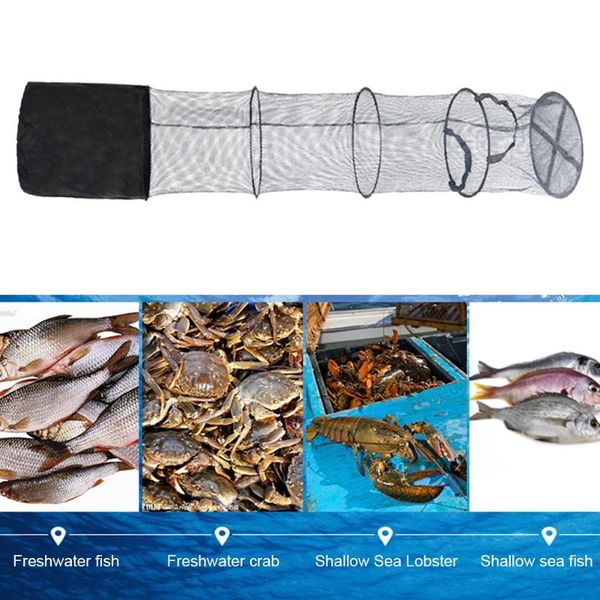 fishing accessories 5 layer cage cast folding goods mesh equipment outdoor net crab trap nylon foldable fish shrimp
fishing accessories 5 layer cage cast folding goods mesh equipment outdoor net crab trap nylon foldable fish shrimp