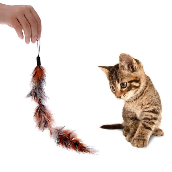 cat toys 2pcs luxury extendable pet kitten feather teaser wand rod + 13pcs colorful natural long toy set
cat toys 2pcs luxury extendable pet kitten feather teaser wand rod + 13pcs colorful natural long toy set