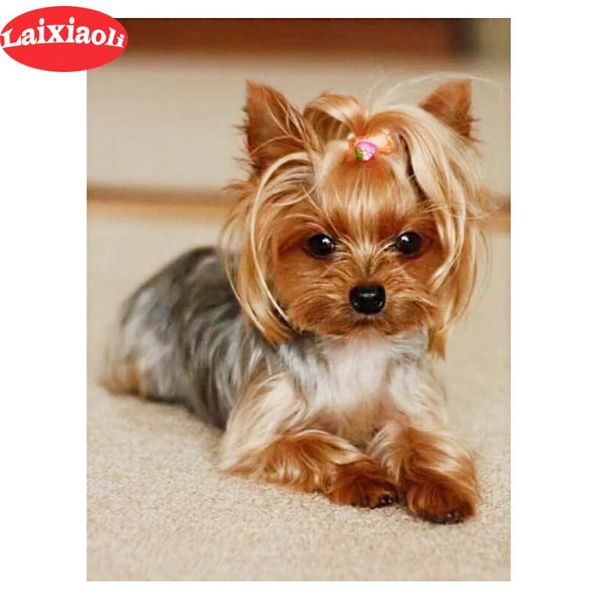 diamond painting embroidery yorkshire terrier 5d diy full square round drill 3d rhinestone pictures mosaic decoration
diamond painting embroidery yorkshire terrier 5d diy full square round drill 3d rhinestone pictures mosaic decoration