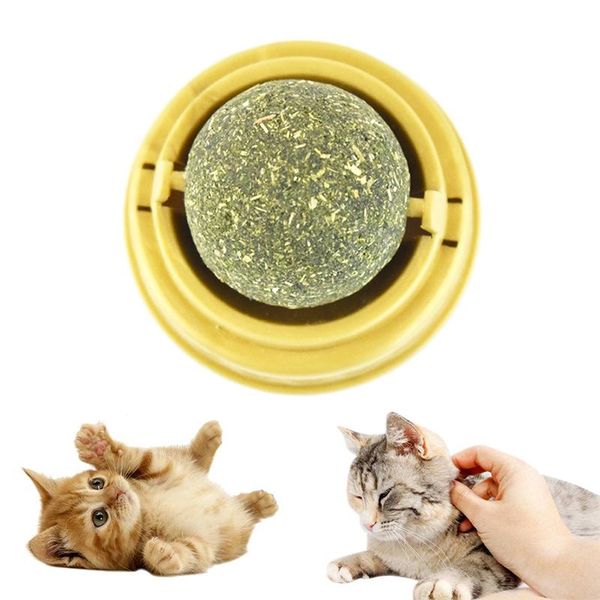 cat toys natural catnip for cats mint leaf treat balls edible treating cleaning teeth rotating puzzle ball
cat toys natural catnip for cats mint leaf treat balls edible treating cleaning teeth rotating puzzle ball