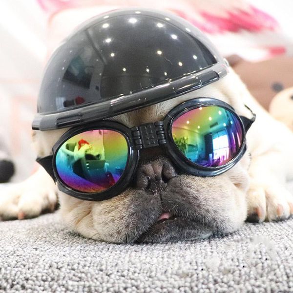 dog apparel pet motorcycle bike helmet cap hat for sun rain protection halloween dress up ve
dog apparel pet motorcycle bike helmet cap hat for sun rain protection halloween dress up ve