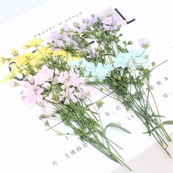 decorative flowers & wreaths 30pcs/bag gypsophila with branch and dried diy glue mobile phone case material aroma wax brand plant specimen
decorative flowers & wreaths 30pcs/bag gypsophila with branch and dried diy glue mobile phone case material aroma wax brand plant specimen