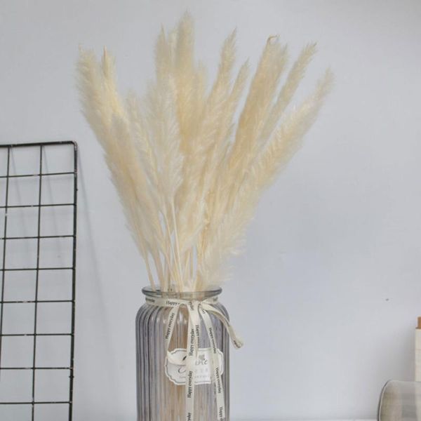 decorative flowers & wreaths 15pcs natural dried small pampas grass phragmites diy artificial plants for decor home wedding decoration
decorative flowers & wreaths 15pcs natural dried small pampas grass phragmites diy artificial plants for decor home wedding decoration