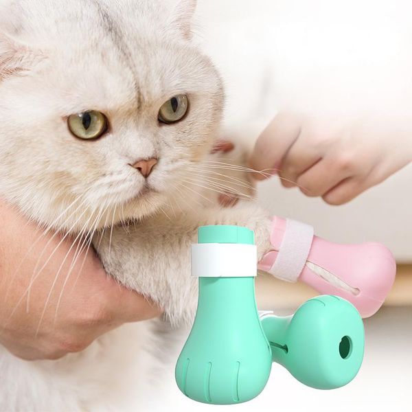 cat costumes claw cover anti-biting bath washing nails 4pcs for pet protector anti-scratch shoes boots supplies
cat costumes claw cover anti-biting bath washing nails 4pcs for pet protector anti-scratch shoes boots supplies