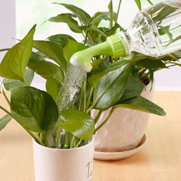 watering equipments 2pcs creative potted device sprinkling water bottle small nozzle spray tool shower gardening irrigation for home
watering equipments 2pcs creative potted device sprinkling water bottle small nozzle spray tool shower gardening irrigation for home
