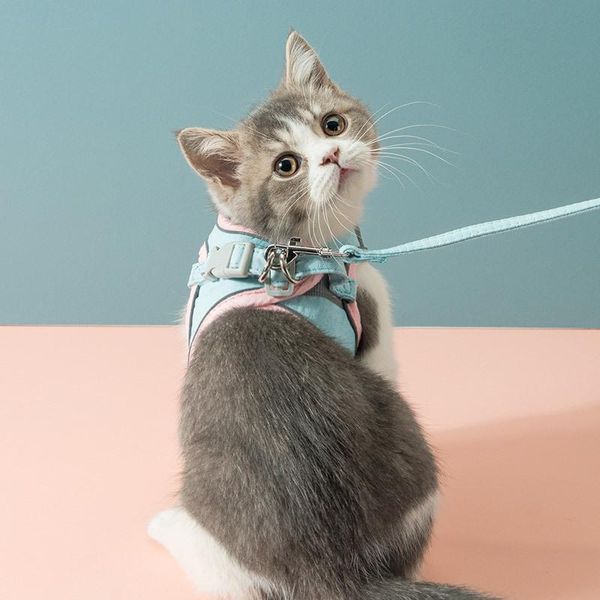 cat collars & leads fashion reflective vest dog harness leash set adjustable outdoor walking for small cats dogs pet accessories
cat collars & leads fashion reflective vest dog harness leash set adjustable outdoor walking for small cats dogs pet accessories