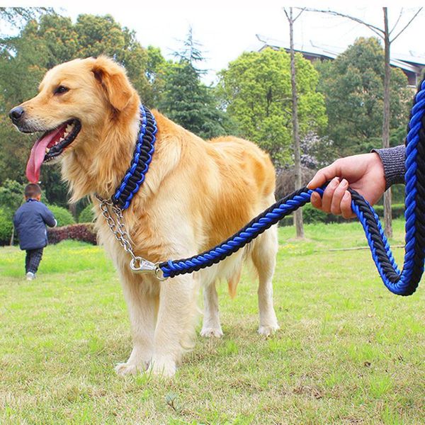 dog collars & leashes 1.2m length double strand rope large metal chain buckle national color pet traction collar set for big dogs
dog collars & leashes 1.2m length double strand rope large metal chain buckle national color pet traction collar set for big dogs