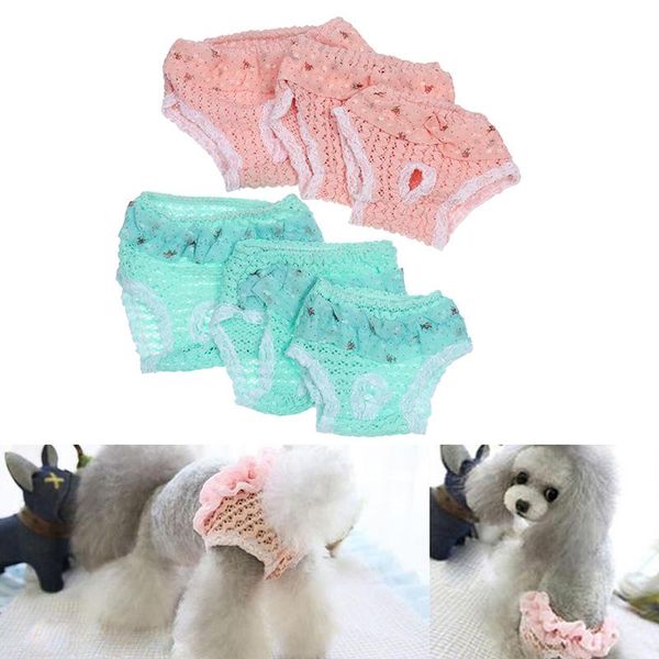 dog apparel 1pcs washable female panties shorts underwear edge pet trousers diaper lace physiological pants sanitary
dog apparel 1pcs washable female panties shorts underwear edge pet trousers diaper lace physiological pants sanitary