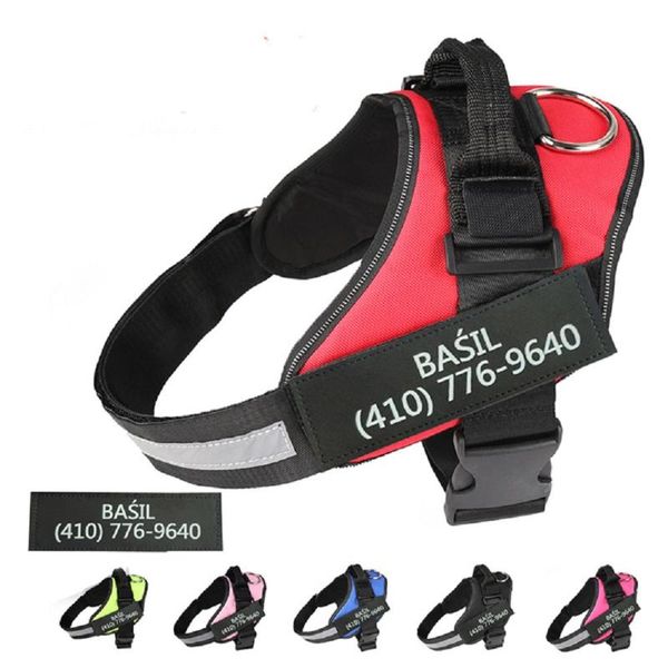 dog collars & leashes breast strap, leash rope, chain, pet supplies, one drop delivery