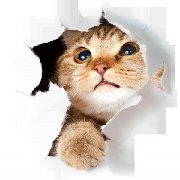 wall stickers 3-dimension kitten and dog broken vision sticker toilet refrigerator background home decor for room decoration
wall stickers 3-dimension kitten and dog broken vision sticker toilet refrigerator background home decor for room decoration