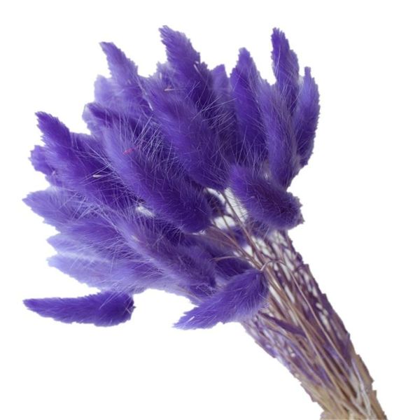 decorative flowers & wreaths 50pcs dried flower tail natural plants floral grass bouquet home decoration accessories po
decorative flowers & wreaths 50pcs dried flower tail natural plants floral grass bouquet home decoration accessories po