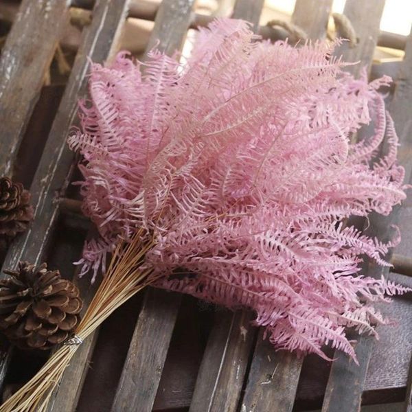 decorative flowers & wreaths 10pcs/lot natural dried immortal eternal flower leaf fern everlast grass green plants wall accessories wedding
decorative flowers & wreaths 10pcs/lot natural dried immortal eternal flower leaf fern everlast grass green plants wall accessories wedding