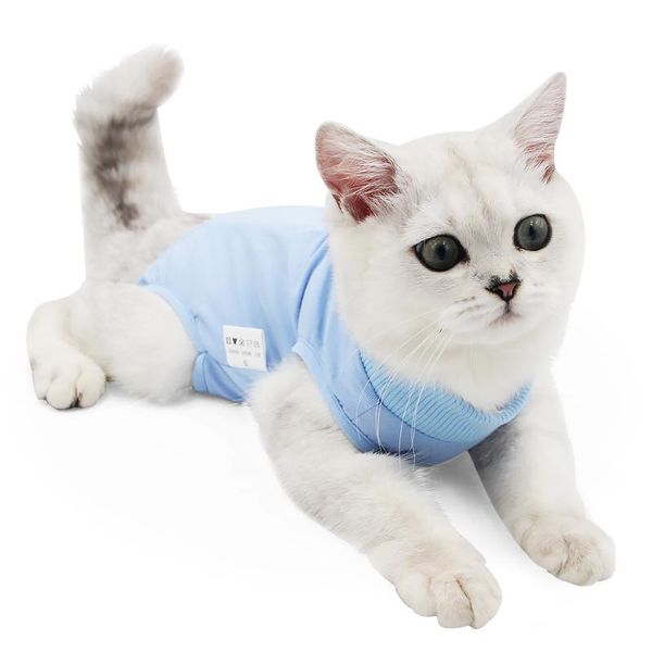 cat costumes clothes female sterilization weaning anti-licking summer elastic pet 
cat costumes clothes female sterilization weaning anti-licking summer elastic pet