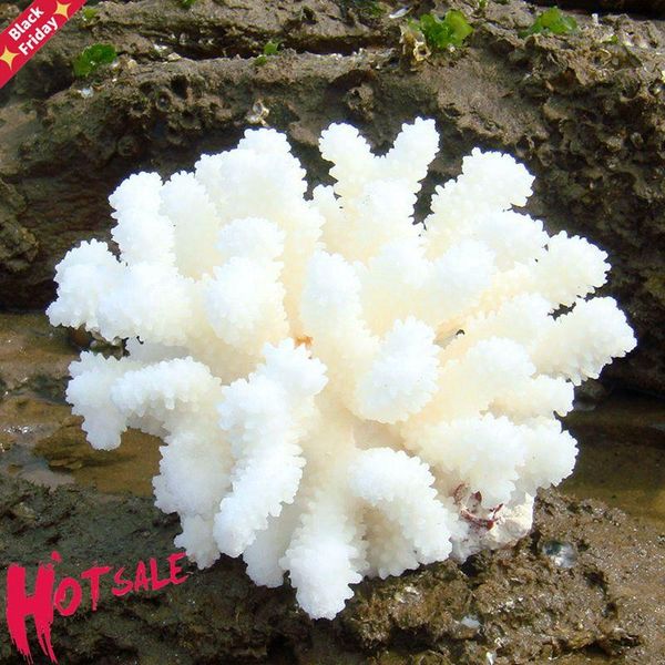 real coral decor seabed stone 1pc ocean fish tank aquarium decoration pography calcium pieces sea white novelty items
real coral decor seabed stone 1pc ocean fish tank aquarium decoration pography calcium pieces sea white novelty items