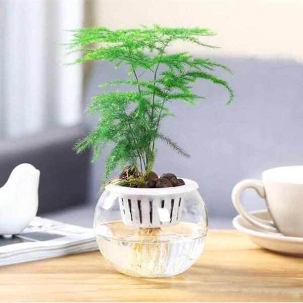 27pcs/pack diameter=15cm big size flat mouth glass terrarium fishbowl aquarium home decorative vase novelty items
27pcs/pack diameter=15cm big size flat mouth glass terrarium fishbowl aquarium home decorative vase novelty items