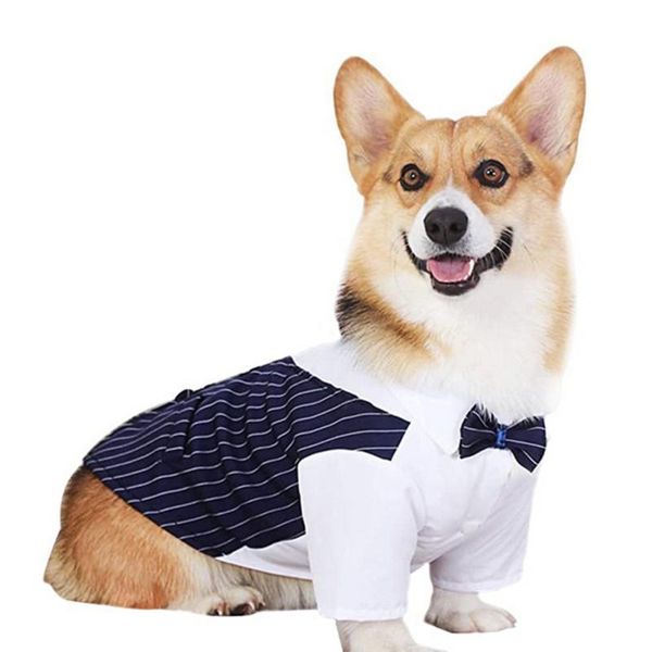 dog cat gentleman clothes wedding formal shirt suit with bowtie tuxedo pet outfit for spring summer costumes apparel
dog cat gentleman clothes wedding formal shirt suit with bowtie tuxedo pet outfit for spring summer costumes apparel