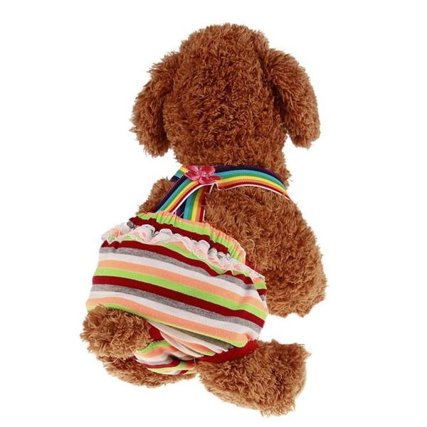 dog apparel 2021 pet large diaper sanitary physiological pants washable female shorts panties menstruation underwear briefs
dog apparel 2021 pet large diaper sanitary physiological pants washable female shorts panties menstruation underwear briefs