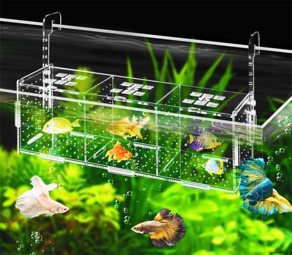 aquariums acrylic transparent isolation box for fish tank aquarium fry hatching reproduction single and double grid
aquariums acrylic transparent isolation box for fish tank aquarium fry hatching reproduction single and double grid