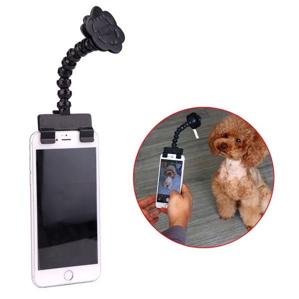 pet supplies pet selfie clipdog camera phone clipdog toy puzzlefunny p tool to divert the dog's attention
pet supplies pet selfie clipdog camera phone clipdog toy puzzlefunny p tool to divert the dog's attention