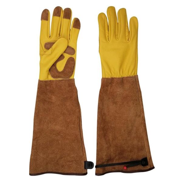 disposable gloves durable gardening for women and men thron proof rose pruning cow leather with long forearm protection gauntlet
disposable gloves durable gardening for women and men thron proof rose pruning cow leather with long forearm protection gauntlet