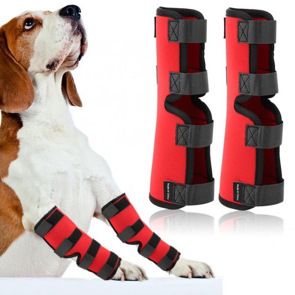 dog apparel 1 pair of rear leg brace pet injury bandage hock joint wrap protector products
dog apparel 1 pair of rear leg brace pet injury bandage hock joint wrap protector products
