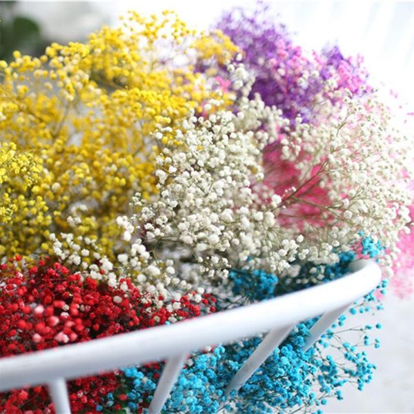 decorative flowers & wreaths dried flower bouquet fashion gypsophila decor preserved
decorative flowers & wreaths dried flower bouquet fashion gypsophila decor preserved