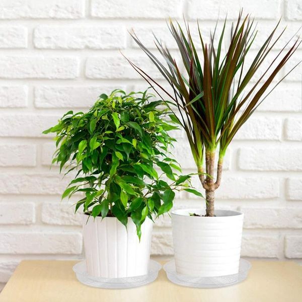 planters & pots 10pcs clear plant saucer plastic drip trays for indoor and outdoor plants holding succulent flower planter pot
planters & pots 10pcs clear plant saucer plastic drip trays for indoor and outdoor plants holding succulent flower planter pot
