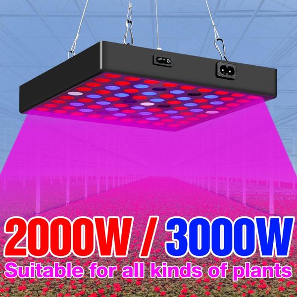 led grow lamp 110v full spectrum plant 220v fito light hydroponic bulb us eu uk greenhouse phytolamp growth tent box lights
led grow lamp 110v full spectrum plant 220v fito light hydroponic bulb us eu uk greenhouse phytolamp growth tent box lights