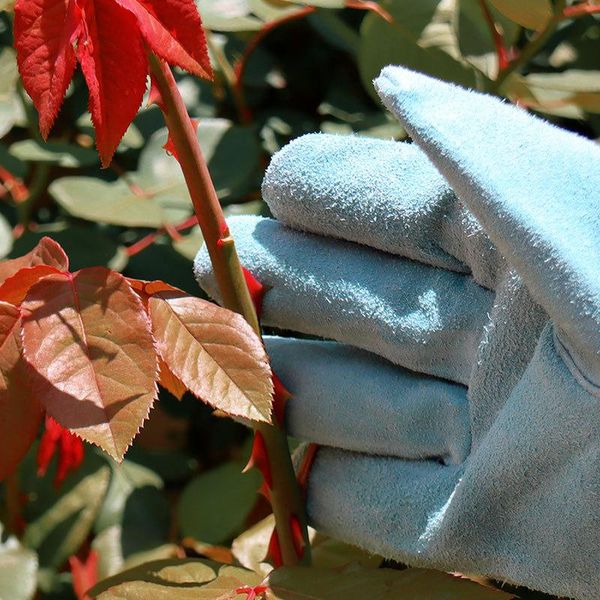disposable gloves 1 pair garden gardening cowhide glove stab proof antiskid wear resistant waterproof anti pricking plant tools
disposable gloves 1 pair garden gardening cowhide glove stab proof antiskid wear resistant waterproof anti pricking plant tools