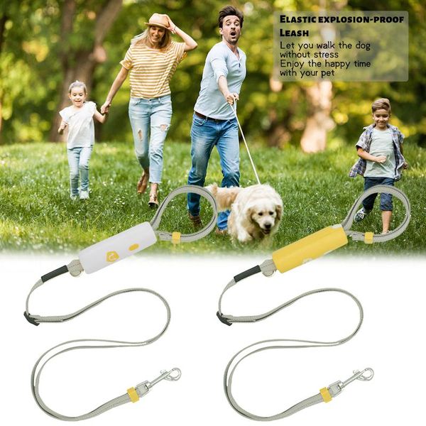 pet leash dog collar with anti-slip lock handle adjustable traction rope walking training hands leashes wholesale collars &
pet leash dog collar with anti-slip lock handle adjustable traction rope walking training hands leashes wholesale collars &