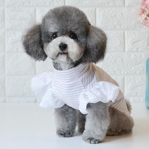 dog apparel pet striped t-shirt, fashion ruffles vest shirt summer chihuahua clothes for girl
dog apparel pet striped t-shirt, fashion ruffles vest shirt summer chihuahua clothes for girl