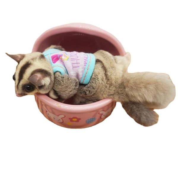 small animal supplies handmade chipmunk clothes mini hamster winter honey glider squirrel accessories
small animal supplies handmade chipmunk clothes mini hamster winter honey glider squirrel accessories