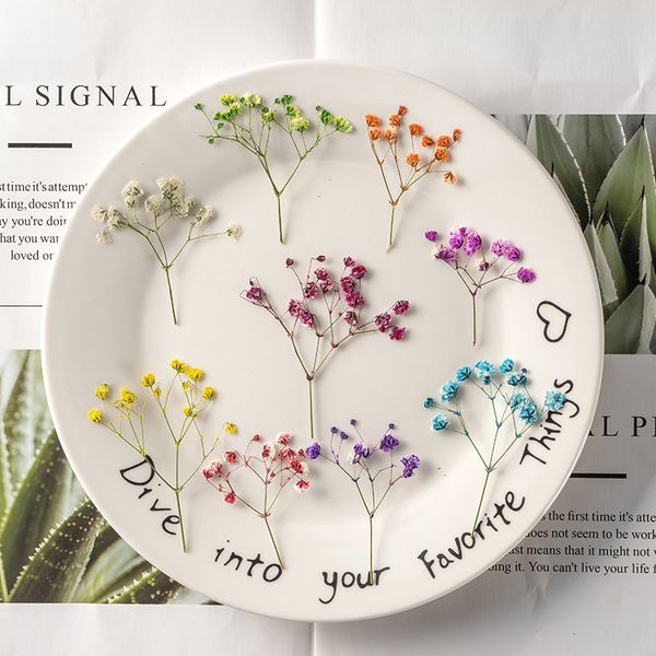 star embossed dried flower plant specimen teaching p frame bookmark manual children's embossing glue dropping festival gift design
star embossed dried flower plant specimen teaching p frame bookmark manual children's embossing glue dropping festival gift design