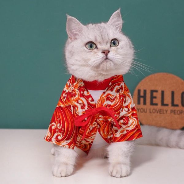 chinese style cat clothes dogs hanfu autumn and winter thin anti-hair teddy bichon small dog pet clothing trend costumes
chinese style cat clothes dogs hanfu autumn and winter thin anti-hair teddy bichon small dog pet clothing trend costumes