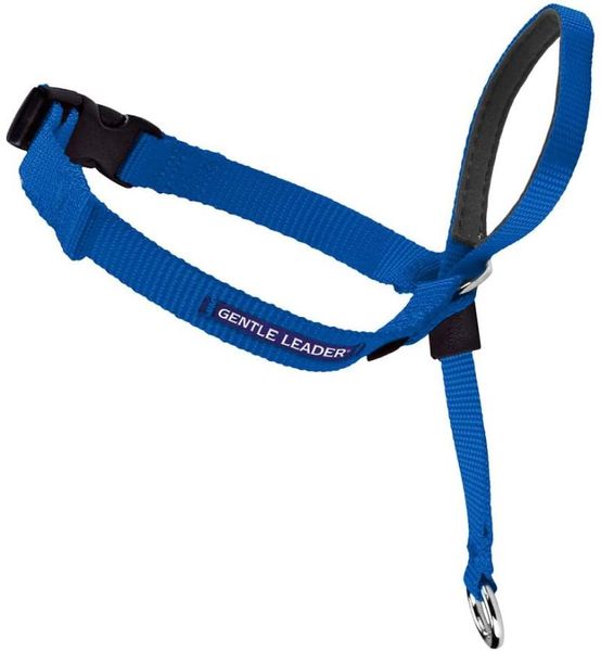 no-pull dog collar perfect for leash harness training choking on walks works with small medium and large dogs supplies collars & leashes
no-pull dog collar perfect for leash harness training choking on walks works with small medium and large dogs supplies collars & leashes