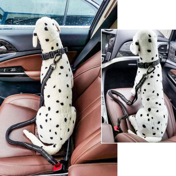 safety belts & accessories pet dog cat car seat belt adjustable harness leash vehicle travel clips supplies
safety belts & accessories pet dog cat car seat belt adjustable harness leash vehicle travel clips supplies