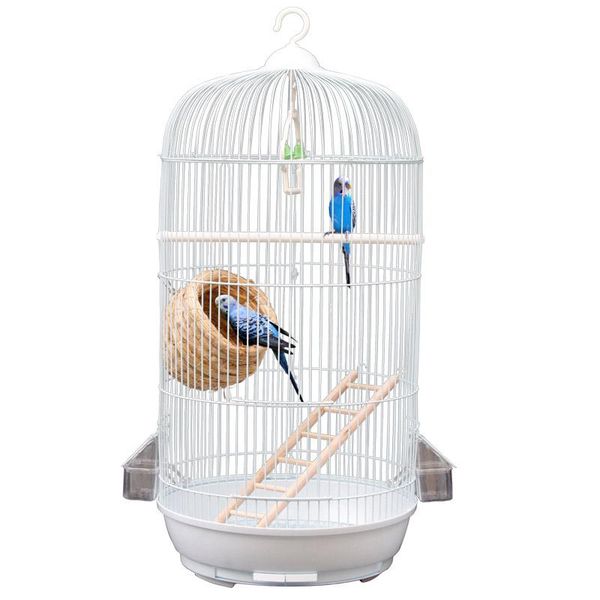 bird cages parrot cage round metal large iron white flock wenniao wren elder brother breeding decoration bed
bird cages parrot cage round metal large iron white flock wenniao wren elder brother breeding decoration bed