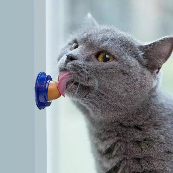 catnip sugar candy healthy help digestio high-quality pet solid nutrition kittens supplies cat toys
catnip sugar candy healthy help digestio high-quality pet solid nutrition kittens supplies cat toys