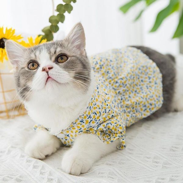 summer pet clothes dot dog dress for dogs skirt princess dresses york skirts cat costumes
summer pet clothes dot dog dress for dogs skirt princess dresses york skirts cat costumes