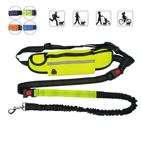 1pcs dog leash running nylon hand y pet products harness collar jogging lead adjustable waist leashes traction belt rope collars &
1pcs dog leash running nylon hand y pet products harness collar jogging lead adjustable waist leashes traction belt rope collars &