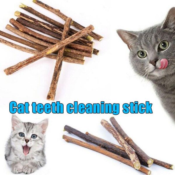 cat toys cats cleaning teeth catnip pet molar toothpaste silvervine stick thin889