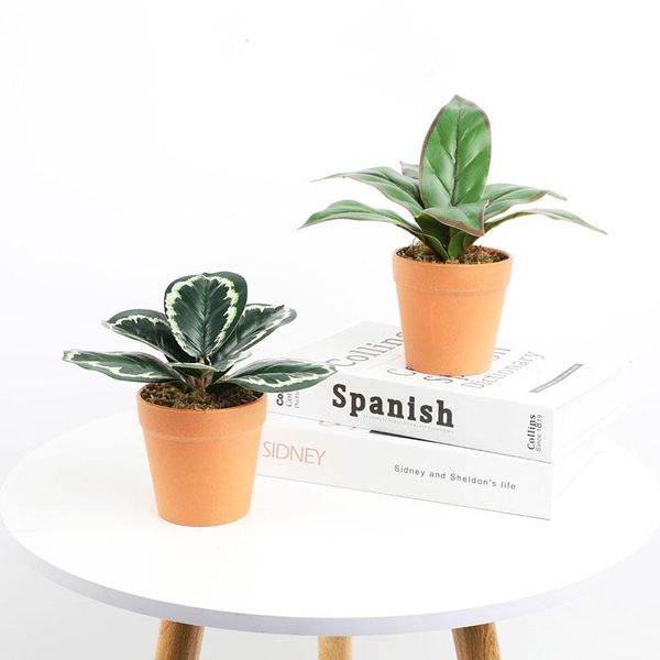 decorative flowers & wreaths simulation green plant bonsai ornaments flower garden fresh living room deskdecoration
decorative flowers & wreaths simulation green plant bonsai ornaments flower garden fresh living room deskdecoration