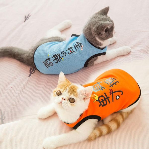 cat clothes spring and summer breathable thin mesh vest cats pet clothing ropa para gato ubranie dla kota vetement chat fashion costumes
cat clothes spring and summer breathable thin mesh vest cats pet clothing ropa para gato ubranie dla kota vetement chat fashion costumes
