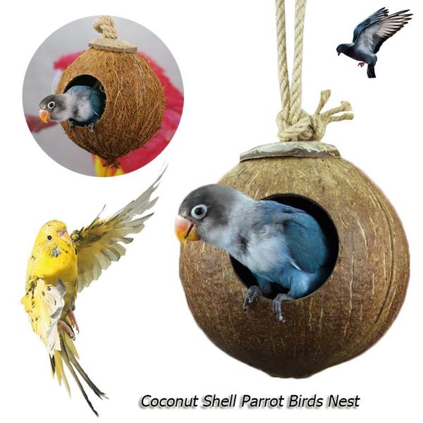 other bird supplies coconut shell parrot birds nest fixed swing bed natural creative durable interactive toys
other bird supplies coconut shell parrot birds nest fixed swing bed natural creative durable interactive toys